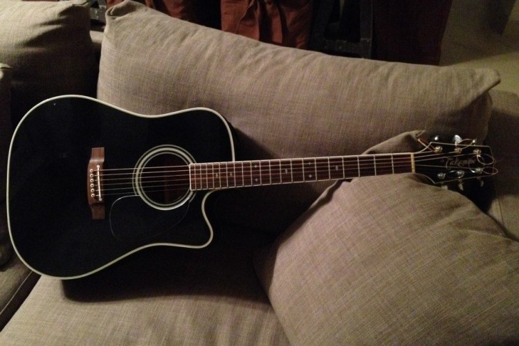 Takamine-ef-341-c