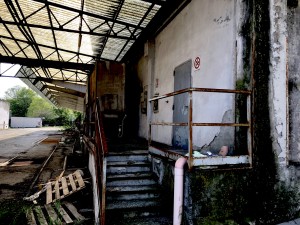 IMG_1876